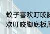 蚊子喜欢叮咬脚底板怎么回事 蚊子喜欢叮咬脚底板原因