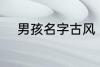 男孩名字古风 男孩名字古风示例