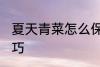 夏天青菜怎么保鲜 夏天青菜的保鲜技巧
