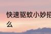 快速驱蚊小妙招 快速驱蚊小妙招有什么