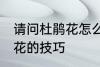 请问杜鹃花怎么养不爱死啊 养殖杜鹃花的技巧