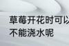 草莓开花时可以浇水吗 草莓开花时能不能浇水呢