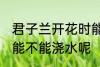 君子兰开花时能浇水吗 君子兰开花时能不能浇水呢
