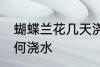 蝴蝶兰花几天浇一次水啊 蝴蝶兰花如何浇水