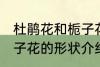 杜鹃花和栀子花长什么样 杜鹃花和栀子花的形状介绍