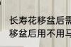 长寿花移盆后需要立刻浇水吗 长寿花移盆后用不用马上浇水