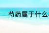 芍药属于什么花卉 芍药所属花卉