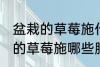 盆栽的草莓施什么肥好不要化肥 盆栽的草莓施哪些肥好不要化肥
