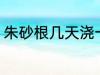 朱砂根几天浇一次水 朱砂根浇水频率