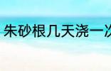 朱砂根几天浇一次水 朱砂根浇水频率