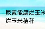 尿素能腐烂玉米秸秆吗 尿素能不能腐烂玉米秸秆