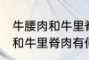 牛腰肉和牛里脊肉有什么不同 牛腰肉和牛里脊肉有何不同