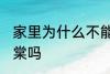 家里为什么不能养海棠 家里可以养海棠吗