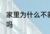 家里为什么不养扶桑 家里可以养扶桑吗