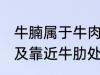 牛腩属于牛肉哪个部位 牛腩即牛腹部及靠近牛肋处的松软肌肉对吗