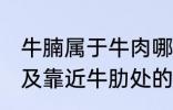 牛腩属于牛肉哪个部位 牛腩即牛腹部及靠近牛肋处的松软肌肉对吗