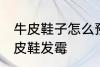 牛皮鞋子怎么预防发霉 如何预防真皮皮鞋发霉