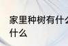 家里种树有什么讲究 家宅种树要注意什么