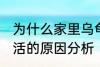 为什么家里乌龟养不活 家里乌龟养不活的原因分析