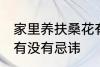 家里养扶桑花有忌讳吗 家里养扶桑花有没有忌讳
