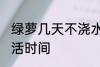 绿萝几天不浇水会死 不浇水的绿萝成活时间