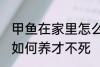 甲鱼在家里怎么养才不死 甲鱼在家里如何养才不死