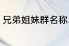 兄弟姐妹群名称 兄弟姐妹群名称推荐