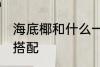 海底椰和什么一起煲汤好 海底椰煲汤搭配
