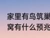 家里有鸟筑巢什么征兆 小鸟来家里做窝有什么预兆