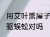 用艾叶熏屋子赶蜈蚣有用吗 艾草可以驱蜈蚣对吗