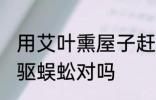 用艾叶熏屋子赶蜈蚣有用吗 艾草可以驱蜈蚣对吗
