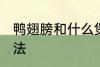 鸭翅膀和什么煲汤好喝 鸭翅膀煲汤做法