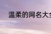 温柔的网名大全 比较温柔的网名