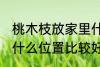 桃木枝放家里什么位置 桃木枝放家里什么位置比较好