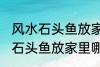 风水石头鱼放家里什么地方合适 风水石头鱼放家里哪个地方合适