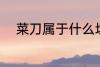 菜刀属于什么垃圾 菜刀所属垃圾