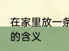 在家里放一条鱼有什么说法 养一条鱼的含义
