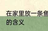 在家里放一条鱼有什么说法 养一条鱼的含义