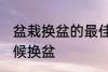 盆栽换盆的最佳时间 盆栽植物什么时候换盆