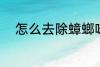 怎么去除蟑螂味 如何去除蟑螂味