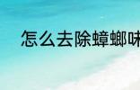 怎么去除蟑螂味 如何去除蟑螂味