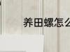 养田螺怎么养 养田螺如何养