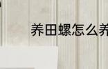 养田螺怎么养 养田螺如何养