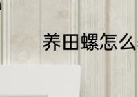 养田螺怎么养 养田螺如何养