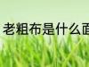 老粗布是什么面料 老粗布面料是什么