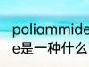 poliammide是什么面料 poliammide是一种什么面料