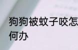 狗狗被蚊子咬怎么办 狗狗被蚊子咬如何办