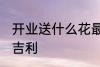 开业送什么花最吉利 开业送哪些花最吉利