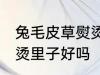 兔毛皮草熨烫里子可以吗 兔毛皮草熨烫里子好吗