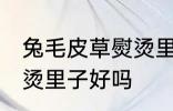 兔毛皮草熨烫里子可以吗 兔毛皮草熨烫里子好吗